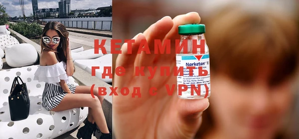 индика Новозыбков