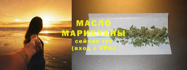 индика Новозыбков