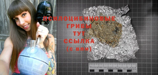 индика Новозыбков