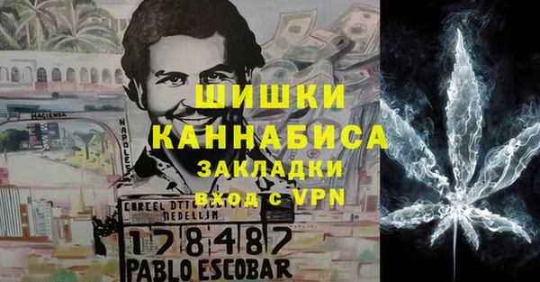 молекула духа Весьегонск