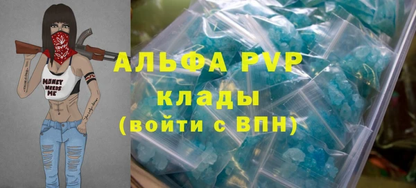 индика Новозыбков