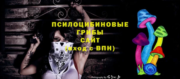 молекула духа Нефтекумск