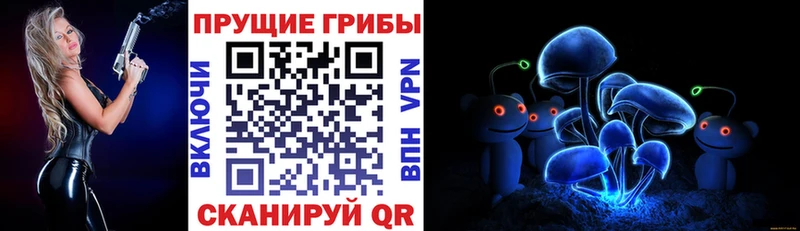 ссылка на мегу как войти  Берёзовский  Псилоцибиновые грибы мицелий 
